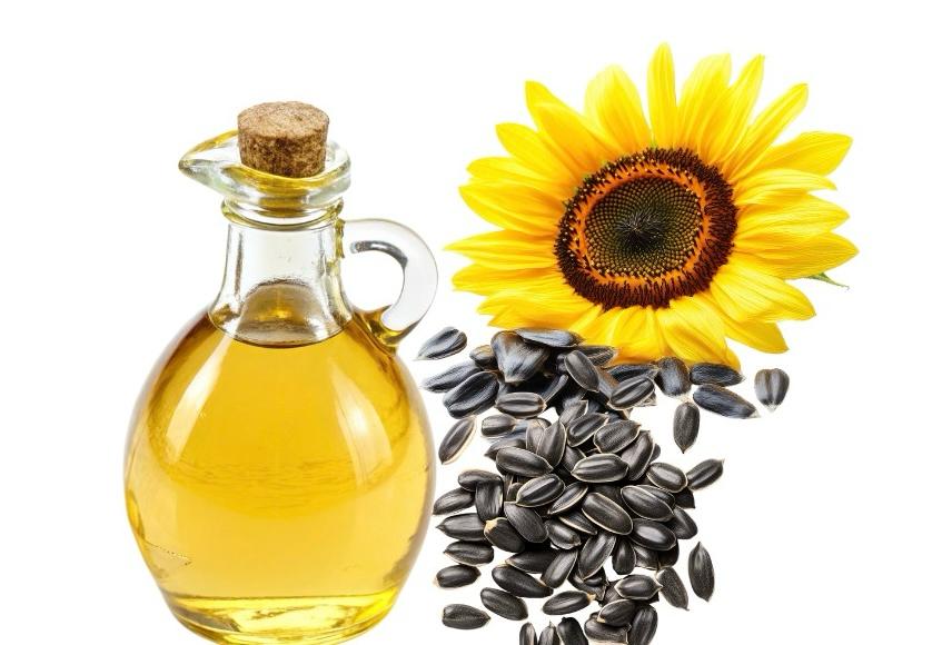 Sunflower Oil